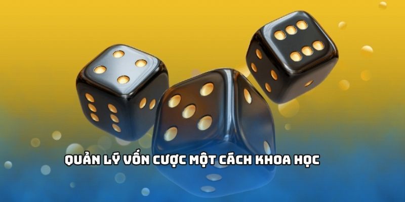 Cách quản lý vốn chơi tài xỉu Các chiến lược quản lý vốn được cao thủ tin dùng