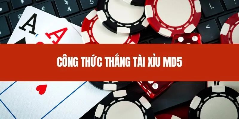 Tài xỉu md5 Các chiến thuật được ưa chuộng trong tài xỉu md5