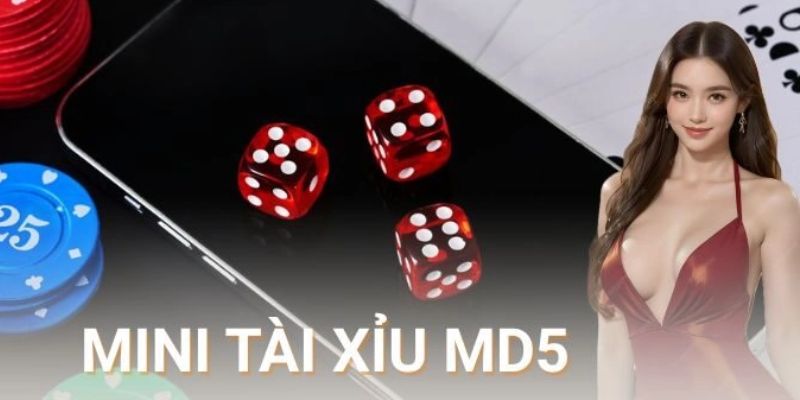 Tài xỉu md5 Những tính năng nổi bật khiến tài xỉu md5 được ưa chuộng
